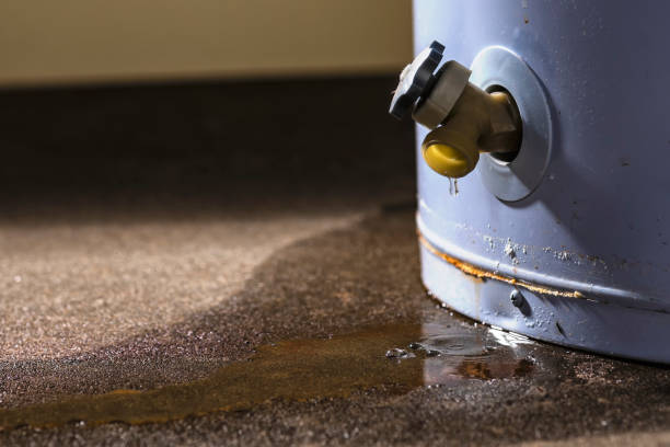 Best Water damage mitigation services  in Utica, NY