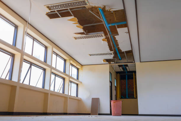 Best Professional water damage repair  in Utica, NY