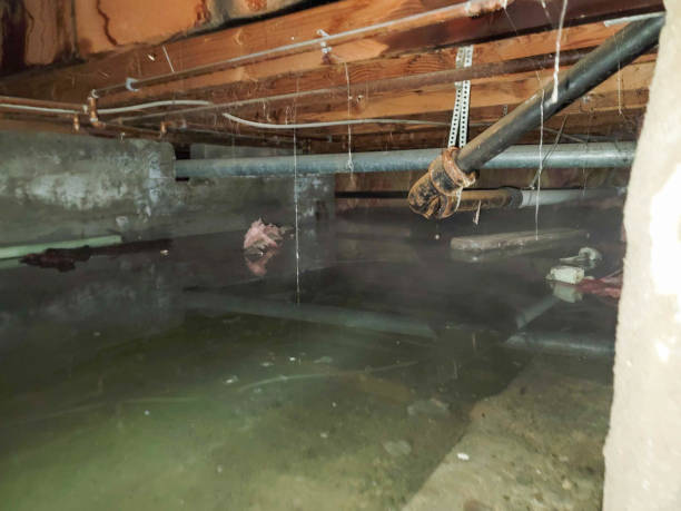 Best Water damage restoration specialists  in Utica, NY