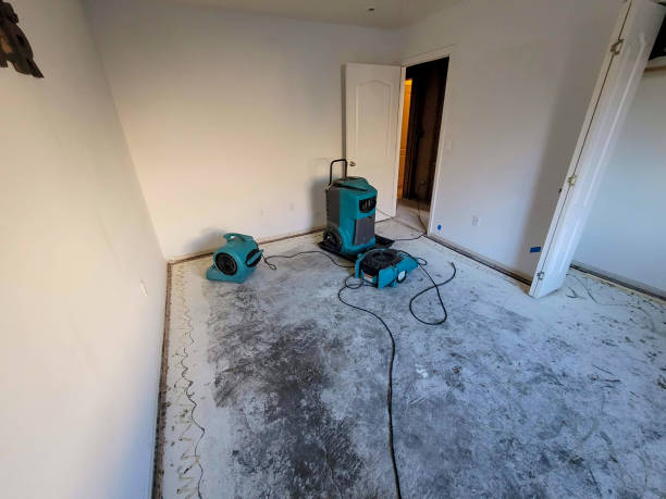 Best Flood restoration services  in Utica, NY