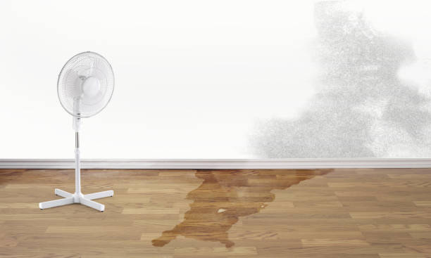 Best 24/7 water damage repair  in Utica, NY