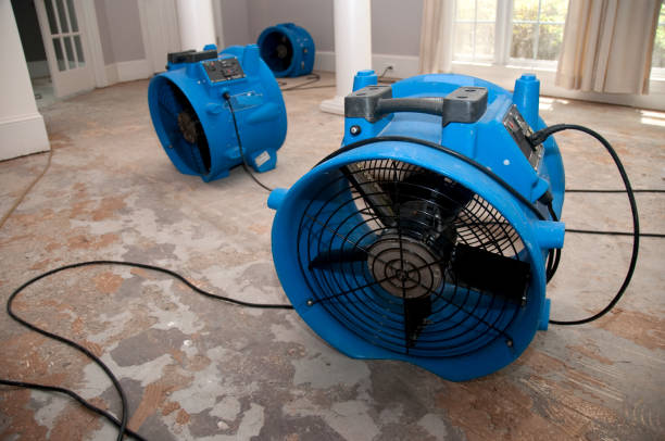 Best Carpet water damage restoration  in Utica, NY