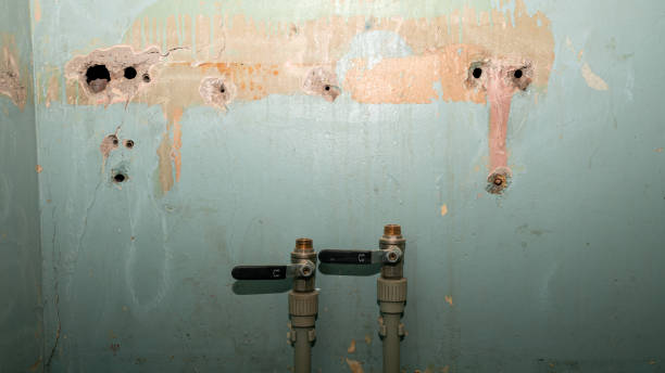 Best Water damage restoration company  in Utica, NY