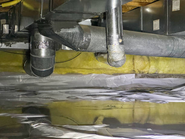 Best Basement water damage restoration  in Utica, NY