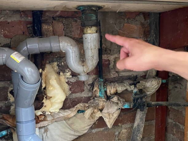 Best Mold removal after water damage  in Utica, NY