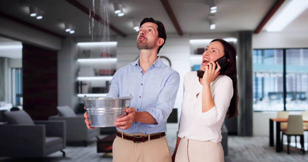 Best Local water damage restoration  in Utica, NY